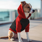 Poleron Negro / Rojo